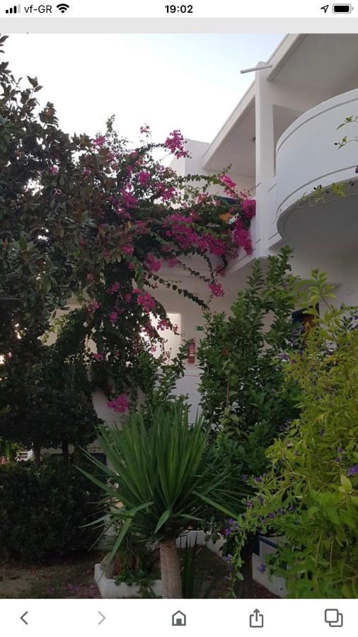 Danae Hotel Faliraki Ngoại thất bức ảnh